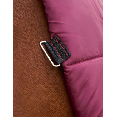 Weatherbeeta ComFiTec Prelim Turnout Combo 220 g Decke Burgund / Marine Weatherbeeta ComFiTec Prelim Turnout Combo 220 g Decke Burgund / Marine