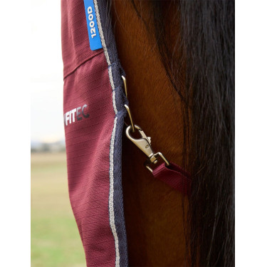 Weatherbeeta ComFiTec Prelim Turnout Combo 220 g Decke Burgund / Marine Weatherbeeta ComFiTec Prelim Turnout Combo 220 g Decke Burgund / Marine