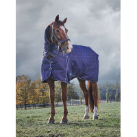 Weatherbeeta ComFiTec Prelim Turnout Combo 220 g Decke Burgund / Marine Rot
