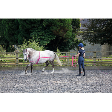 Chambrière Shires 160 cm