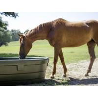 Ovaler Weidetrog Kerbl