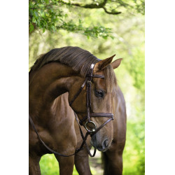 Kandare Classic Covalliero Kandare Classic Covalliero