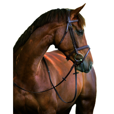 Kandare Classic Covalliero Kandare Classic Covalliero
