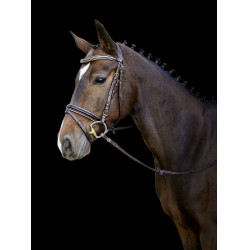 Trense Kingston Covalliero Trense Kingston Covalliero
