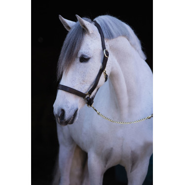 Eco-Lederhalfter Covalliero Braun Eco-Lederhalfter Covalliero Braun