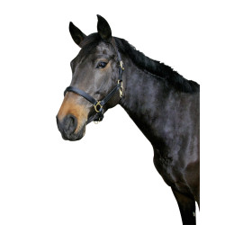 Eco-Lederhalfter Covalliero Eco-Lederhalfter Covalliero