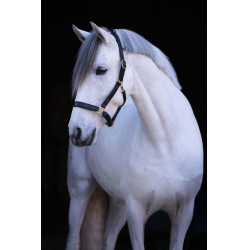 Eco-Lederhalfter Covalliero Eco-Lederhalfter Covalliero