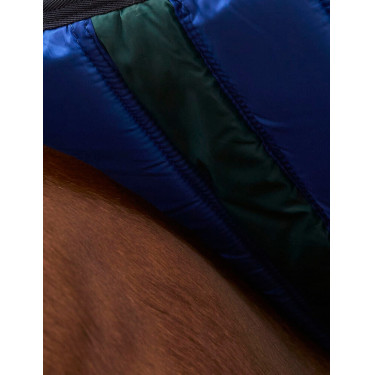 Weatherbeeta ComFiTec Plus Dynamic Weidedecke 220 g Waldgrün / Marineblau Grün Weatherbeeta ComFiTec Plus Dynamic Weidedecke 220 g Waldgrün / Marineblau Grün