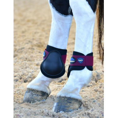 Fesselkopfgamaschen Weatherbeeta Tough-Tec Prime Fetlock Schwarz / Burgunder Blau