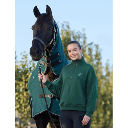 Dublin Damen-Fleecepullover mit 1/4-Reißverschluss Dunkles Smaragdgrün