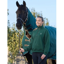 Dublin Damen-Fleecepullover mit 1/4-Reißverschluss Dunkles Smaragdgrün