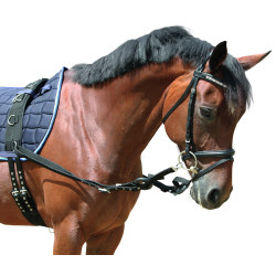 Elastische Hilfszügel Covalliero Elastische Hilfszügel Covalliero