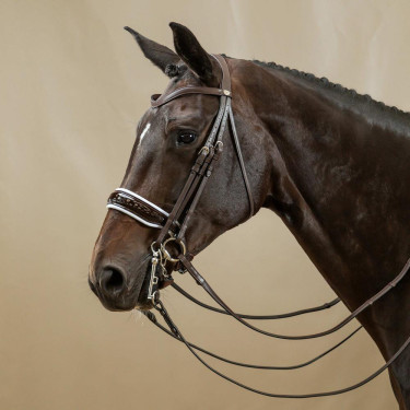 Trense Working von Dy'on Nasenriemen Large Vernie Weißes Futter Braun Trense Working von Dy'on Nasenriemen Large Vernie Weißes Futter Braun