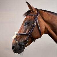 Trense mit geflochtenem Kombinationsnasenriemen D Collection Dy'on Schwarz Trense mit geflochtenem Kombinationsnasenriemen D Collection Dy'on Schwarz