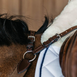 Brustblatt 5-Punkt mit Elastik New English Collection Dy'on Braun Brustblatt 5-Punkt mit Elastik New English Collection Dy'on Braun