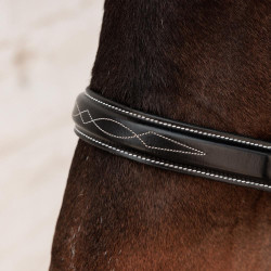 Hunter-Trense Dy'on Schwarz Hunter-Trense Dy'on Schwarz