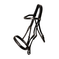 Hunter-Trense Dy'on Schwarz Hunter-Trense Dy'on Schwarz