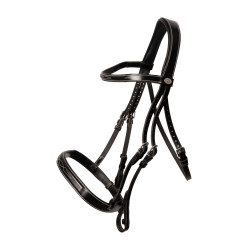 Hunter-Trense Dy'on Schwarz