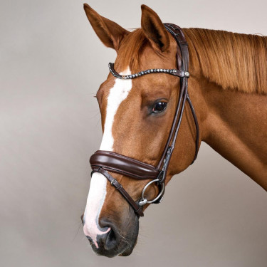 Zaum mit breitem Sperrriemen aus weichem Leder Dy'on Braun