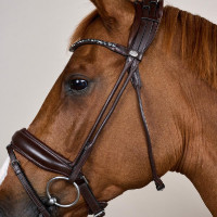 Zaum mit breitem Sperrriemen aus weichem Leder Dy'on Braun Zaum mit breitem Sperrriemen aus weichem Leder Dy'on Braun