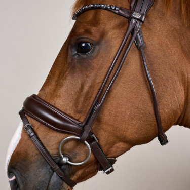 Zaum mit breitem Sperrriemen aus weichem Leder Dy'on Braun