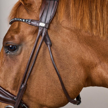 Zaum mit breitem Sperrriemen aus weichem Leder Dy'on Braun