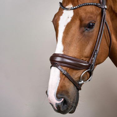 Zaum mit breitem Sperrriemen aus weichem Leder Dy'on Braun