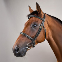 Dy'on Zaum mit geflochtener Nasenriemen ohne Kehlriemen Schwarz Dy'on Zaum mit geflochtener Nasenriemen ohne Kehlriemen Schwarz