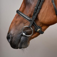 Dy'on Zaum mit geflochtener Nasenriemen ohne Kehlriemen Schwarz Dy'on Zaum mit geflochtener Nasenriemen ohne Kehlriemen Schwarz