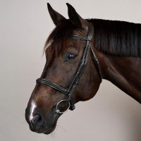 Trensenzaum mit geflochtenem Nasenriemen ohne Kinnriemen Dy'on New English Schwarz Trensenzaum mit geflochtenem Nasenriemen ohne Kinnriemen Dy'on New English Schwarz