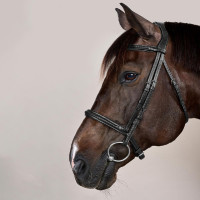 Trensenzaum mit geflochtenem Nasenriemen ohne Kinnriemen Dy'on New English Schwarz Trensenzaum mit geflochtenem Nasenriemen ohne Kinnriemen Dy'on New English Schwarz