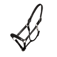 Führhalfter Fancy Dy'on Schwarz