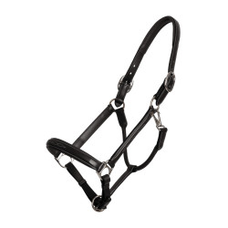 Führhalfter Fancy Dy'on Schwarz