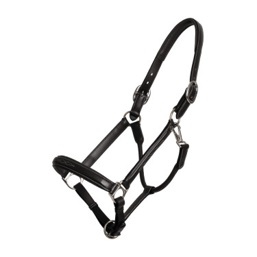 Führhalfter Fancy Dy'on Schwarz