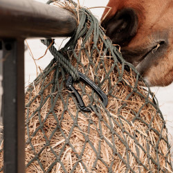 Aluminium-Karabiner Safety Grooming Deluxe von Kentucky Schwarz