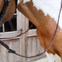 Dy’on Gummizügel 1/2 mit 7 integrierten Stoppern Braun