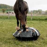 Heutasche Play & Rund-Slowfeeder Grooming Deluxe von Kentucky Schwarz