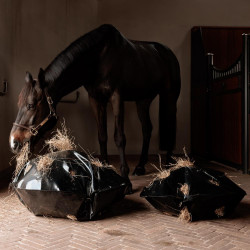 Heutasche Play & Rund-Slowfeeder Grooming Deluxe von Kentucky Schwarz