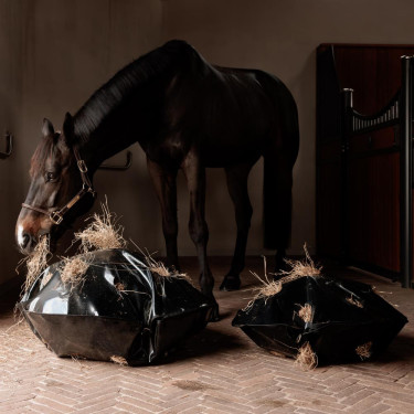 Heutasche Play & Rund-Slowfeeder Grooming Deluxe von Kentucky Schwarz