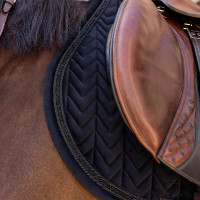 Kentucky Sattelpad Velvet Mini Pearls Jumping Schwarz