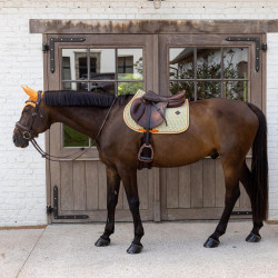 Kentucky Samt-Sattelpad mit Print Farbig Kentucky Samt-Sattelpad mit Print Farbig