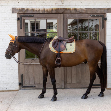 Kentucky Samt-Sattelpad mit Print Farbig Kentucky Samt-Sattelpad mit Print Farbig