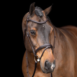 Trense HV Polo Legacy Schokobraun Trense HV Polo Legacy Schokobraun