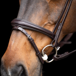 Trense HV Polo Legacy Schokobraun Trense HV Polo Legacy Schokobraun