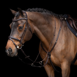 Martingal HV Polo Legacy Schokobraun Martingal HV Polo Legacy Schokobraun