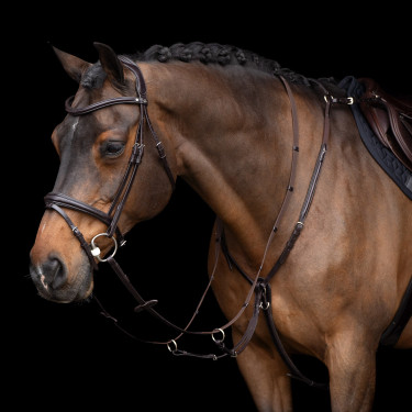 Martingal HV Polo Legacy Schokobraun Martingal HV Polo Legacy Schokobraun