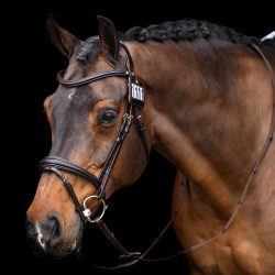 Kopfstücknummer HV Polo Legacy Schokobraun