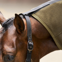 Fleece-Decke mit Hals Imperial Riding Fundamental Olivgrün Grün Fleece-Decke mit Hals Imperial Riding Fundamental Olivgrün Grün