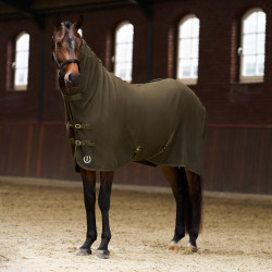 Fleece-Decke mit Hals Imperial Riding Fundamental Olivgrün Gr&amp;amp;amp;uuml;n