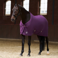Fleece-Decke Imperial Riding Fundamental Feige Lila Fleece-Decke Imperial Riding Fundamental Feige Lila